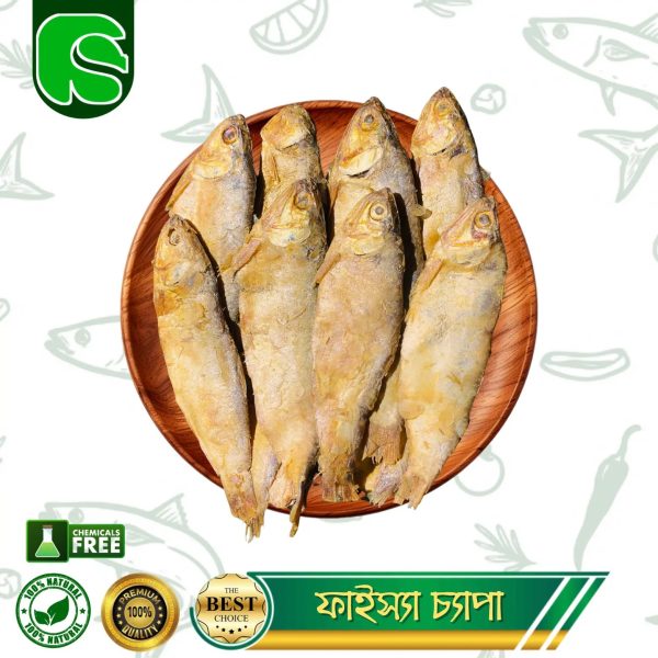 ফ্যাইস্যা চ্যাপা (সিদল)