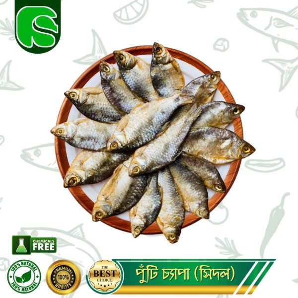পুঁটি চ্যাপা (সিদল)