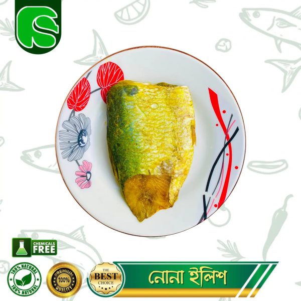 নোনা ইলিশ