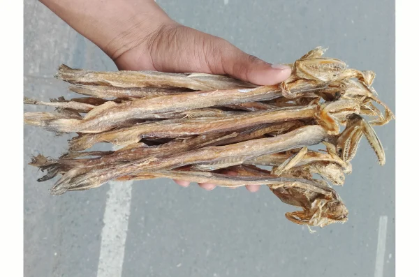 লইট্টা (পেট ছাড়া)